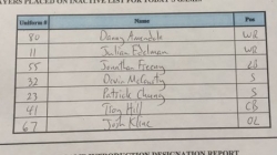 Week 16 Inactive Report: Patriots at Jets