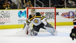 P-Bruins Goalie Zane McIntyre Named AHL Goalie of the Month