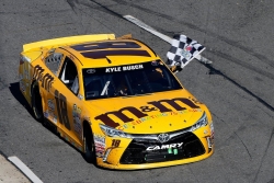 Kyle Busch swept the weekend in Martinsville
